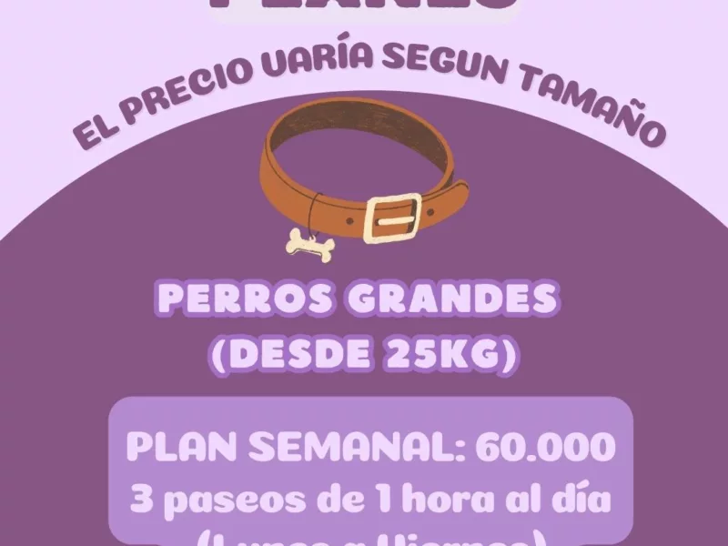 Paseos Caninos