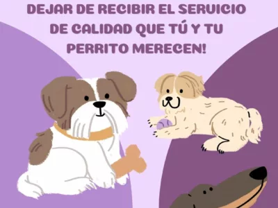 Paseos Caninos