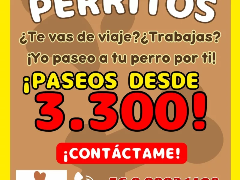 Paseos Caninos