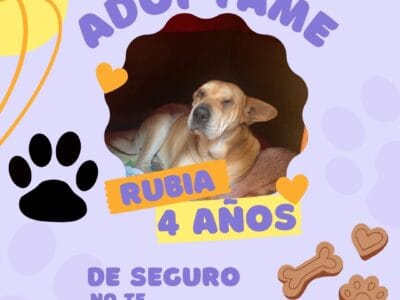 Rubia
