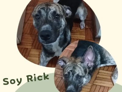 Rick