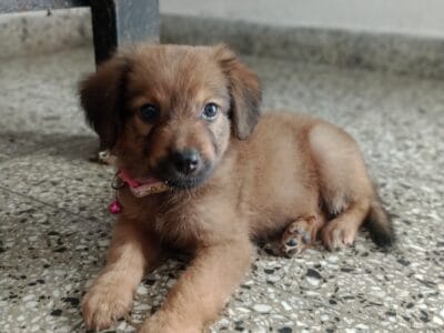 Mi nombre es luna