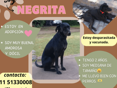 Adopción para Negrita